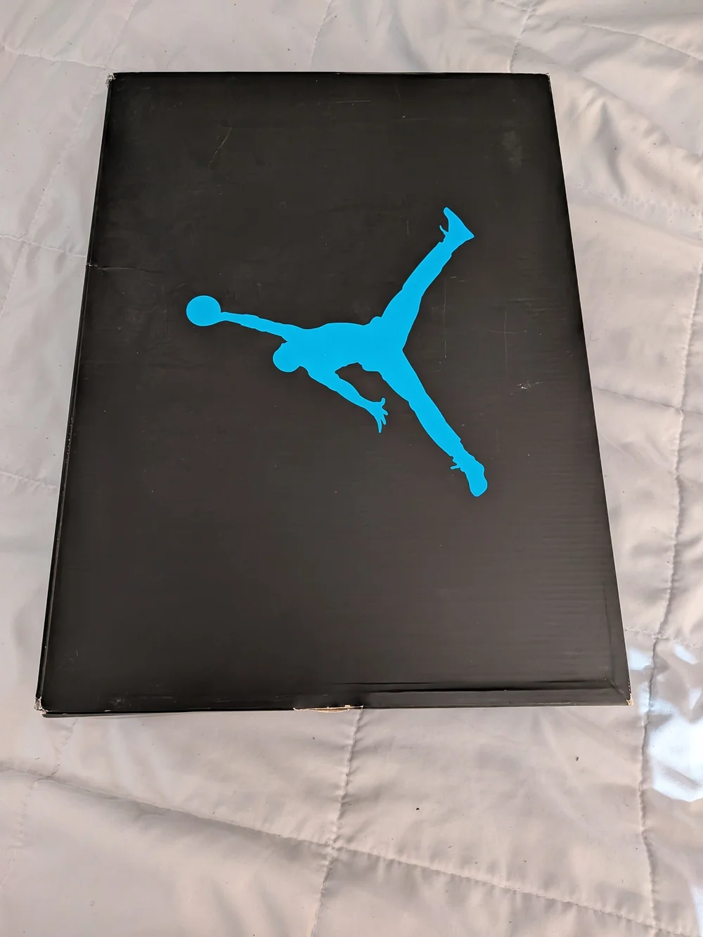 Jordan 5 Retro Aqua.
